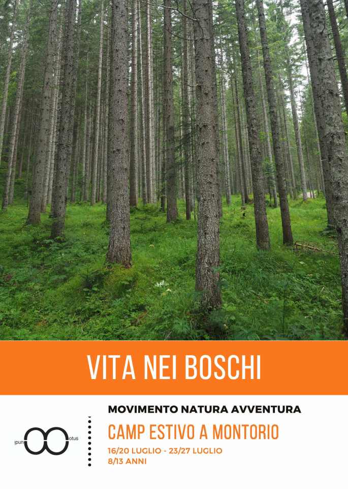 Vita nei boschi_Pagina_1